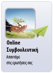 On line Συμβουλευτική υποστήριξη