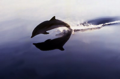 dolphin2_F10408.jpg