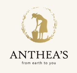 Κέα: ANTHEA ΙΚΕ