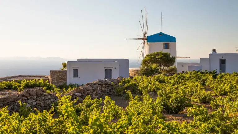 Επιχειρηματική στήριξη - Επιμελητήριο Κυκλάδων