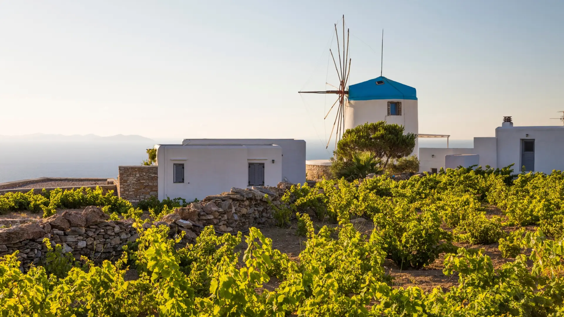Επιχειρηματική στήριξη - Επιμελητήριο Κυκλάδων