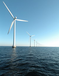 anemogenitries_F28311.jpg