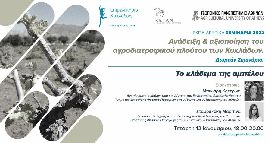 Ενημερωτικό Webinar στις 12 Ιανουαρίου - Κλάδεμα της Αμπέλου image