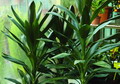 FEX_F8996.jpg