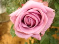 T2_F9172.JPG
