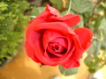 T3_F9182.JPG