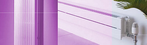 Thermansi_F5519.jpg