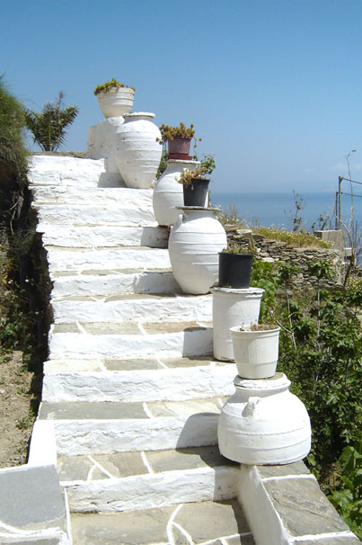 agnatiup(3)_F16145.jpg