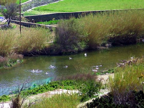 LAKE - CHORA