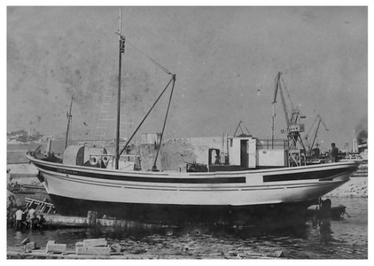 Anemotrata