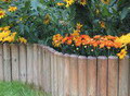 decors16_F15798.jpg