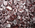 decors1_F15527.JPG