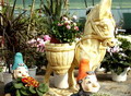 decors29_F16075.JPG