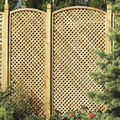 decors8_F15680.jpg