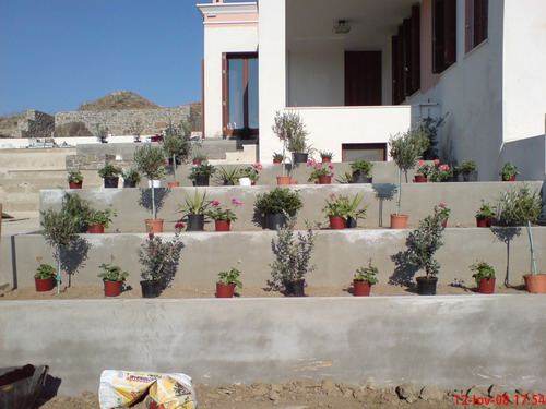erga06_F14033.jpg erga06_F14033.jpg