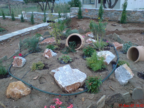 erga13_F14167.JPG erga13_F14167.JPG