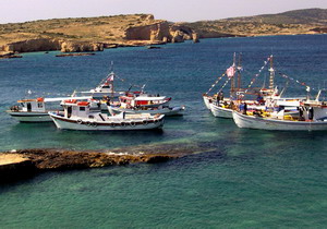 events06_F6363.jpg