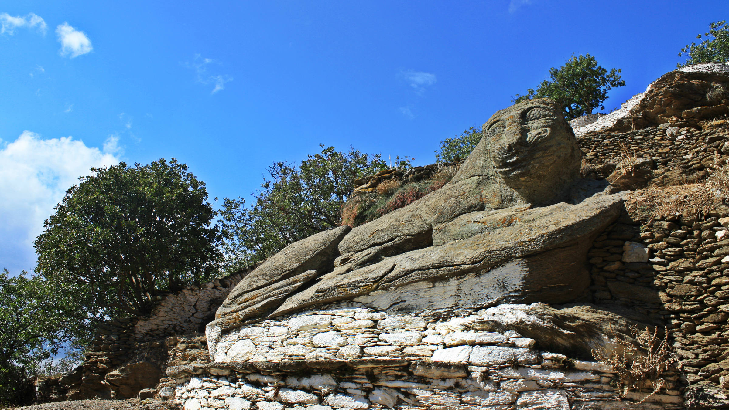 LION IN IOULIS