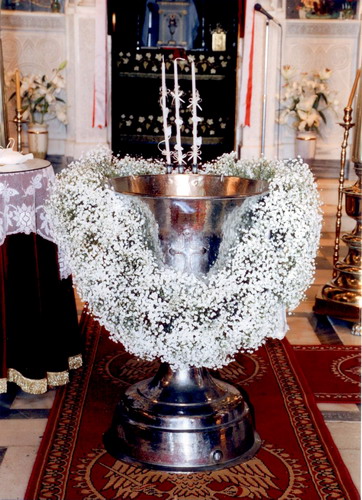 kolibithra1_F22094.jpg