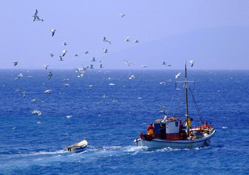 FISHING BOAT