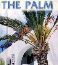 logoPALM_F846_F358.jpg