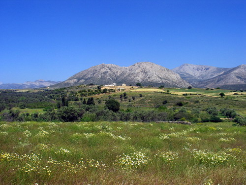 ΤΟΠΙΟ