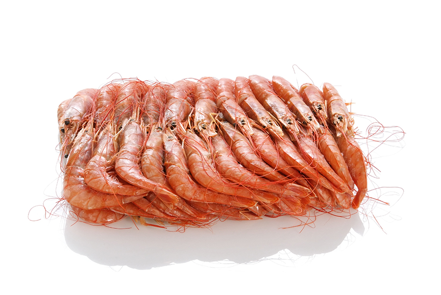 shrimps_rgb_F1399831981.jpg