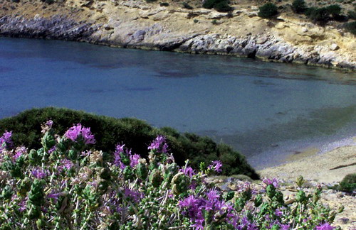 ΣΙΦΝΕΙΚΟ