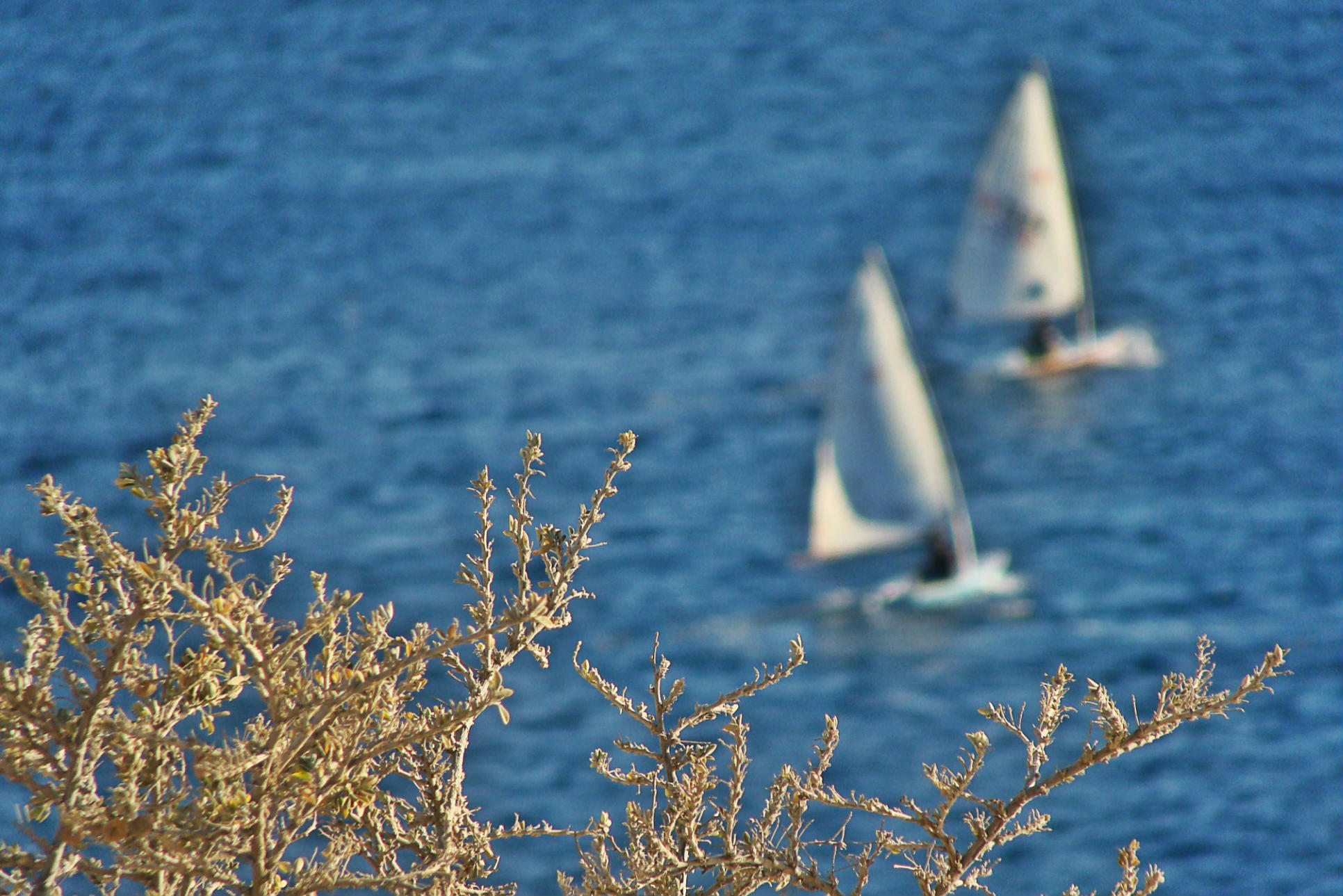 syros_island_sailing_F-438915350.jpg