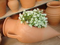tablegl02_F28205.JPG