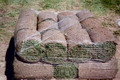 tapitas2_F9208.jpg
