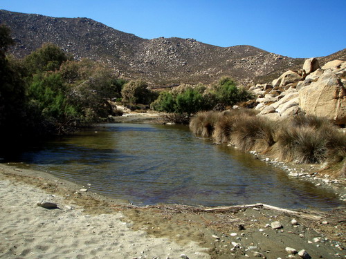 LAKE - LIVADA