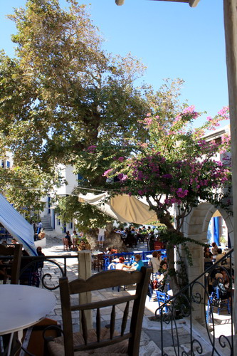 view_F9585.jpg