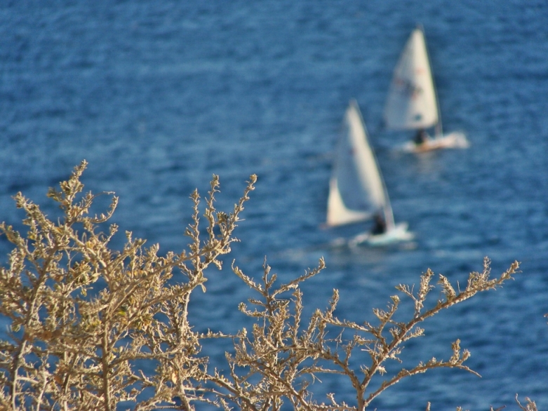 cyclades islands sailing F19434