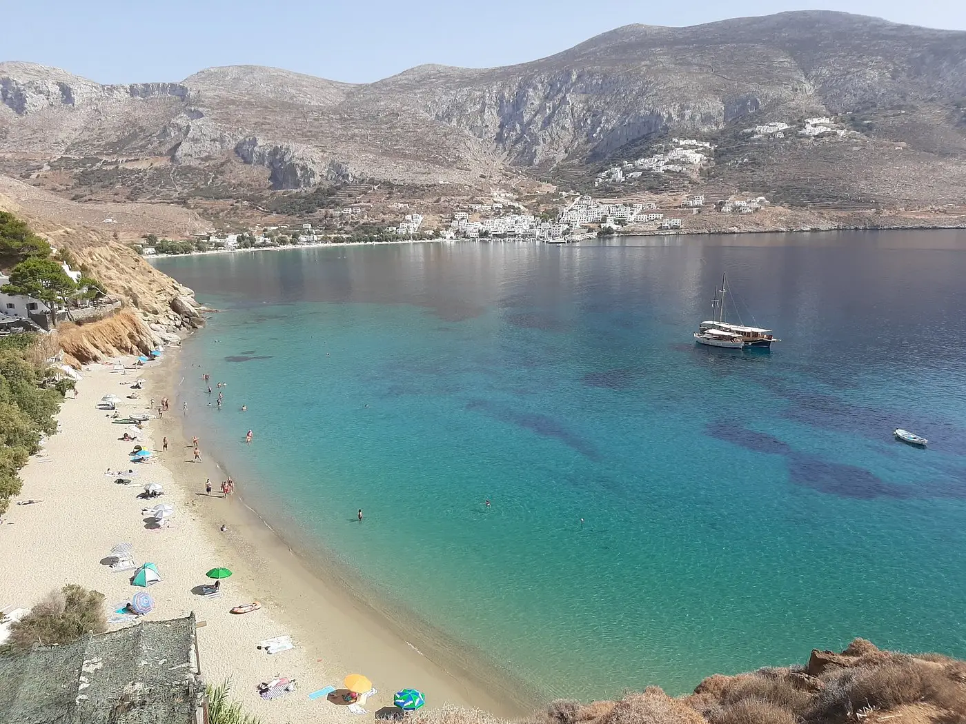 Λεβρωσός αμοργος
