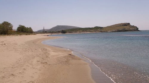 Τσιγκούρι 6 Tsigkouri Sxoinousa