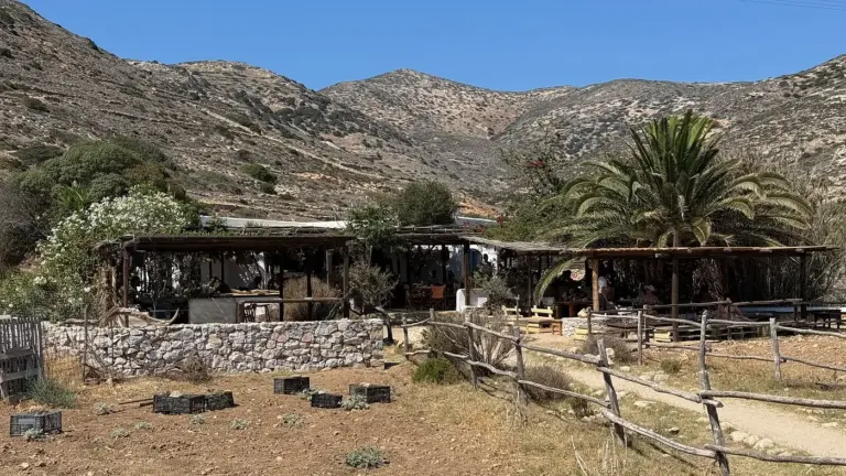 Χαλάρωση με καφέ ή ποτό στον Σταυρό 4 donousa cafe