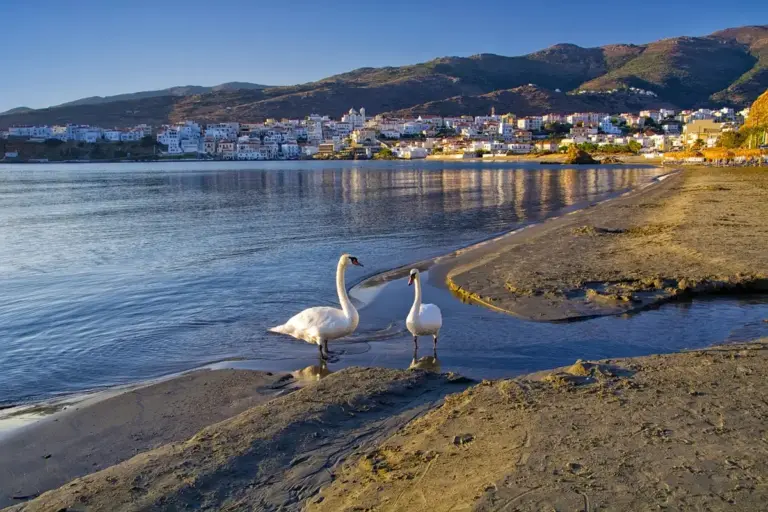 Νημποριό 4 niborio beach 1