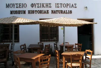 Μουσείο Φυσικής Ιστορίας 4 Outdoor f16472